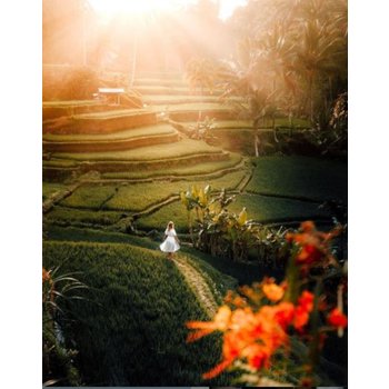 [제주출발][4명이상 출발가능] 발리 6일 포시즌 짐바란 내맘대로 선택 식사UP 아로마마사지 2시간