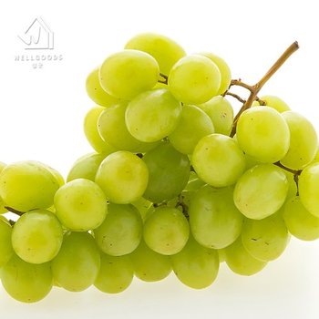 [트레이더스][웰굿] 달콤한 씨없는 애플 청포도 3kg(6-9수)