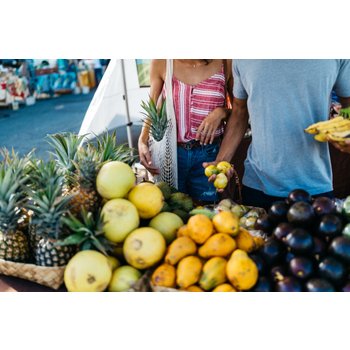 하와이 7일 하얏트플레이스 스페셜티시티뷰 1일관광 체크인전알찬일정 인생샷포인트