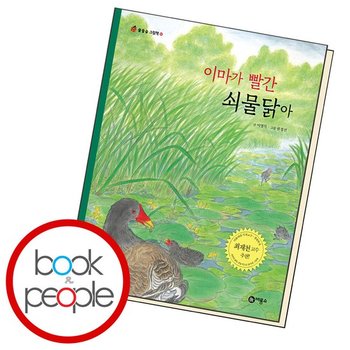 이마가 빨간 쇠물닭아 도서 책