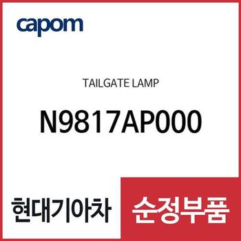 테일게이트 램프 (N9817AP000) 아이오닉5 전기차, 디올뉴 투싼NX4, 디올뉴 투싼NX4 하이브리드