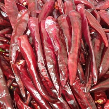 세척 건고추 1.2kg 꼭지제거 순한맛