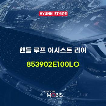 핸들 루프 어시스트 리어 (853902E100LO) 현대모비스부품몰