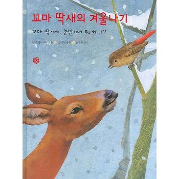 꼬마 딱새의 겨울나기