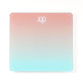 체중계 사용법 후기 디지털리뷰 DT132416