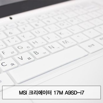 MSI 크리에이터 17M A9SD-i7 말싸미키스킨