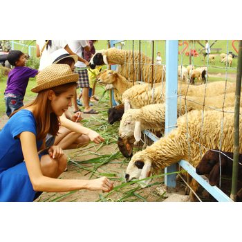 [가족추천] 방콕 파타야 3박5일[카오키여우/피셔맨빌리지] ATP1017CI1