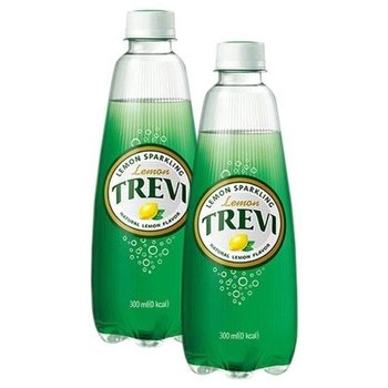 이덴 롯데 트레비 레몬 300ml 20PET 자몽 (47232510)
