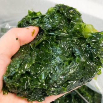 완도산 햇 생파래 물파래 파래 해조류 4kg