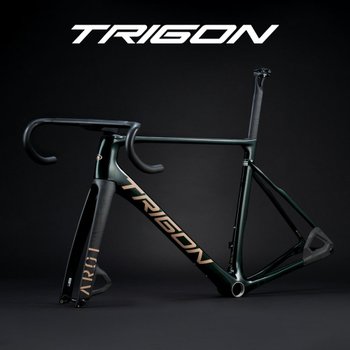 트리곤 AR01 최상급 올라운드 에어로 디스크 로드 카본 프레임