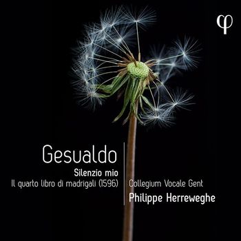 CARLO GESUALDO - SILENZIO MIO. IL QUARTO LIBRO DI MADRIGALI 제수알도: 마드리갈 4권 침묵 속