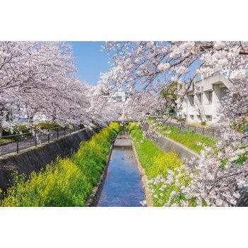 규슈/사가/우레시노 3일 소도시감성 우레시노미인온천 유후인&벳부&다자이후 라라포트쇼핑몰 호텔뷔페식