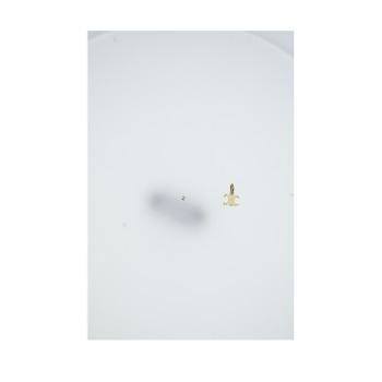 셀린느 TRIOMPHE CHARM GOLD B101L6BRA_35OR