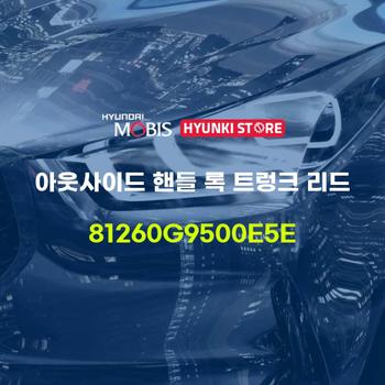 아웃사이드 핸들 록 트렁크 리드 (81260G9500E5E) 현대모비스부품몰