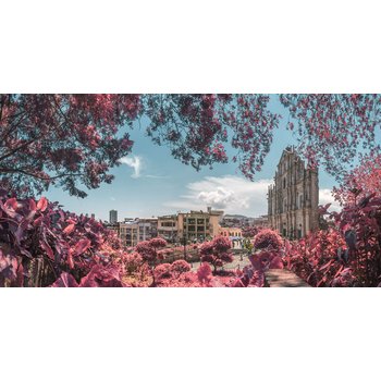 [마카오INOUT] 마카오/홍콩 4일 노쇼핑 스마트초이스 핵심일정 밤출발