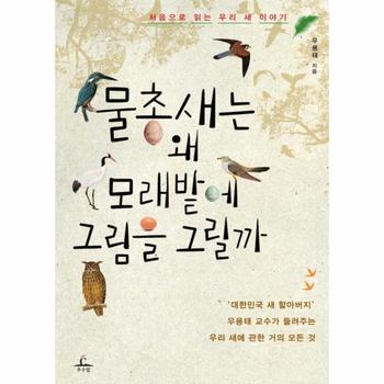 물총새는 왜 모래밭에 그림을 그릴까 처음으로 읽는 우리 새 이야기