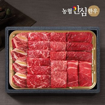 [명절][슈퍼브랜드위크][농협안심한우] 1등급 한우 모듬채반 1kg (등심/채끝/불고기/국거리/특수