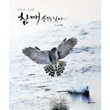 천년의 기다림 참매 순간을 날다