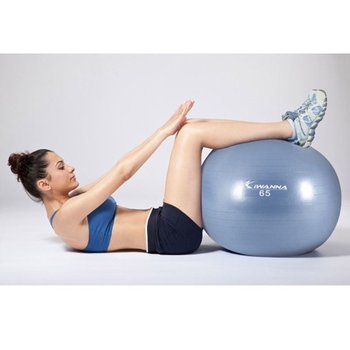 아이워너 안티버스트 짐볼 65cm 라벤더 1P 근력 홈트 임산부짐볼 잘안터지는짐볼 짐볼운동