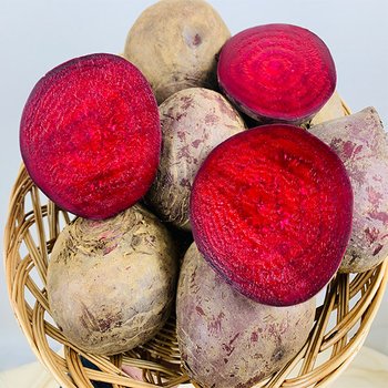 [오늘출발] 해풍맞고 자란 제주 햇 레드비트 3kg 특품 사이즈