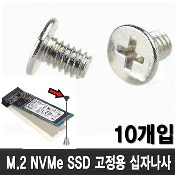 M.2 SSD 고정용 나사 10개입