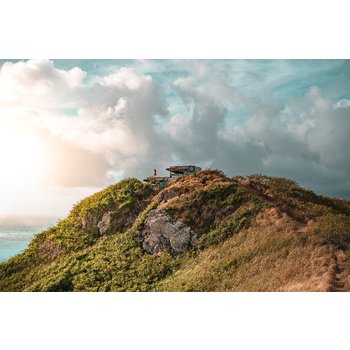 하와이 6일 더트윈핀 파셜오션뷰 공항↔호텔 셔틀포함 에어텔 HHB143FEE75A5C5