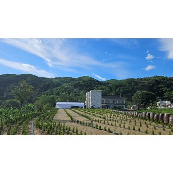 [광주시] 광주 펜션&남한산성아트홀