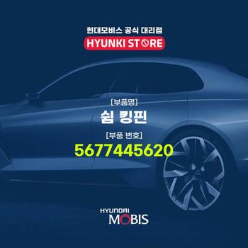 쉼 킹핀 (5677445620)