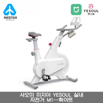 YESOUL [해외직구] 샤오미 YESOUL 스마트 M1 스핀바이크-화이트/온라인 코치/ 관부가세 포함 / 무료배송