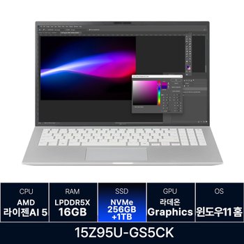 LG전자 LG그램 15Z95U-GS5CK 16GB 256GB + 1TB 추가