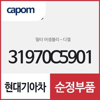 디젤 필터 (연료필터) (31970C5901) 쏘렌토