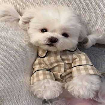 reduziert 롤업 체크 데일리 파자마 잠옷 강아지옷 (WC76897)