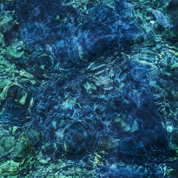 [CD]Ichiko Aoba - Luminescent Creatures / 아오바 이치코 - 루머네선트 크리처즈