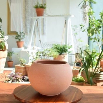 베트남 토분 테라원 루나(볼) D15 15x14cm