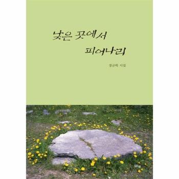 낮은 곳에서 피어나리