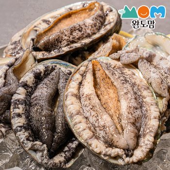 완도맘 완도 활전복18-20미 1kg 중전복 당일조업 살아서도착