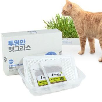 고양이 캣 그라스 소화 촉진 헤어볼 배출 중형