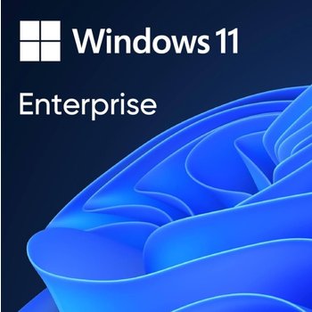마이크로소프트 Windows 11 Enterprise 2024 LTSC 기업용 정품 라이선스