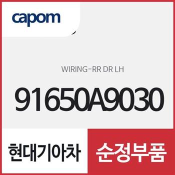 리어 도어 좌측 와이어링 (91650A9030) 카니발