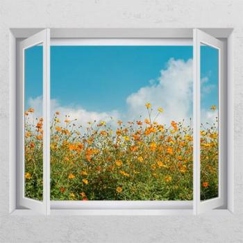 꾸밈 아트박스/꾸밈 bh761-하늘황화코스모스_창문그림액자