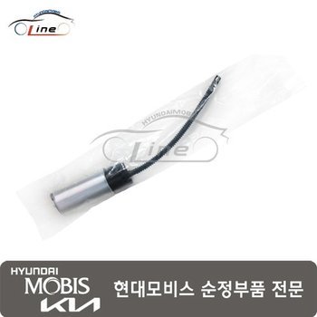 연료 펌프 튜브  31119 L1100