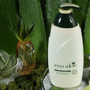 건강하게 IH49BG32 피부촉촉 수분공급 알로에 바디워시 750ml