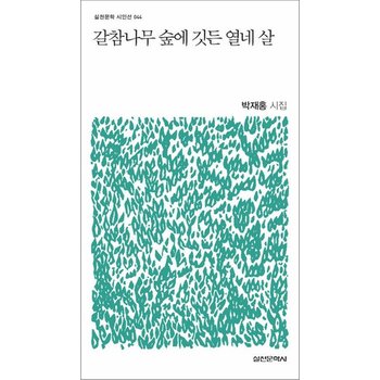 갈참나무 숲에 깃든 열네 살 (실천문학 시인선 44)