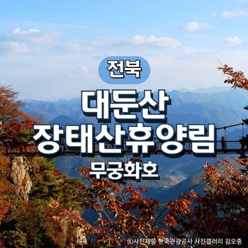 무궁화호 대둔산·뿌리공원·장태산 휴양림 기차여행(서울·수원출발)