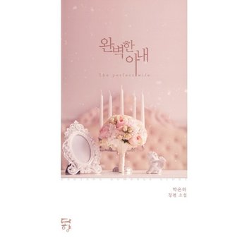 완벽한 아내 박은하 장편 소설