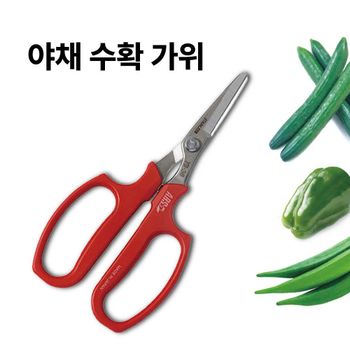 야채가위 야채수확가위 과일 피망 오이 편안한 그립감 남녀노소 사용