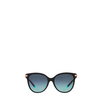 [해외] 25FW 티파니앤코 선글라스 TF4193B 80019S BLACK