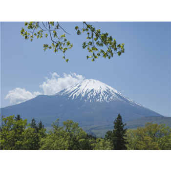 [출발확정][4인출발/도쿄 쓱-투어] 도쿄/후지산/하코네/오다이바 온천4일(1일자유/트윈룸/현지차량가이드)