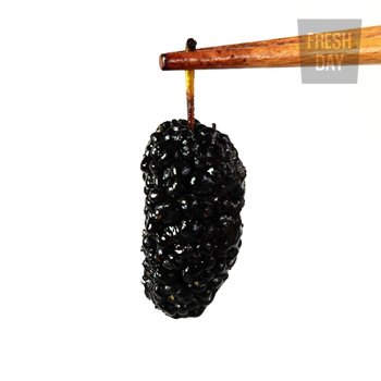 [프레시데이] 고창 오디 냉동 생과 프리미엄 특품 8Kg (2kg*4팩)