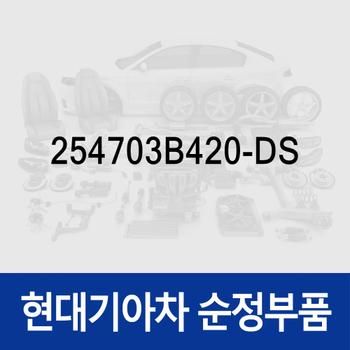튜브-오일 쿨러 (254703B420-DS)
